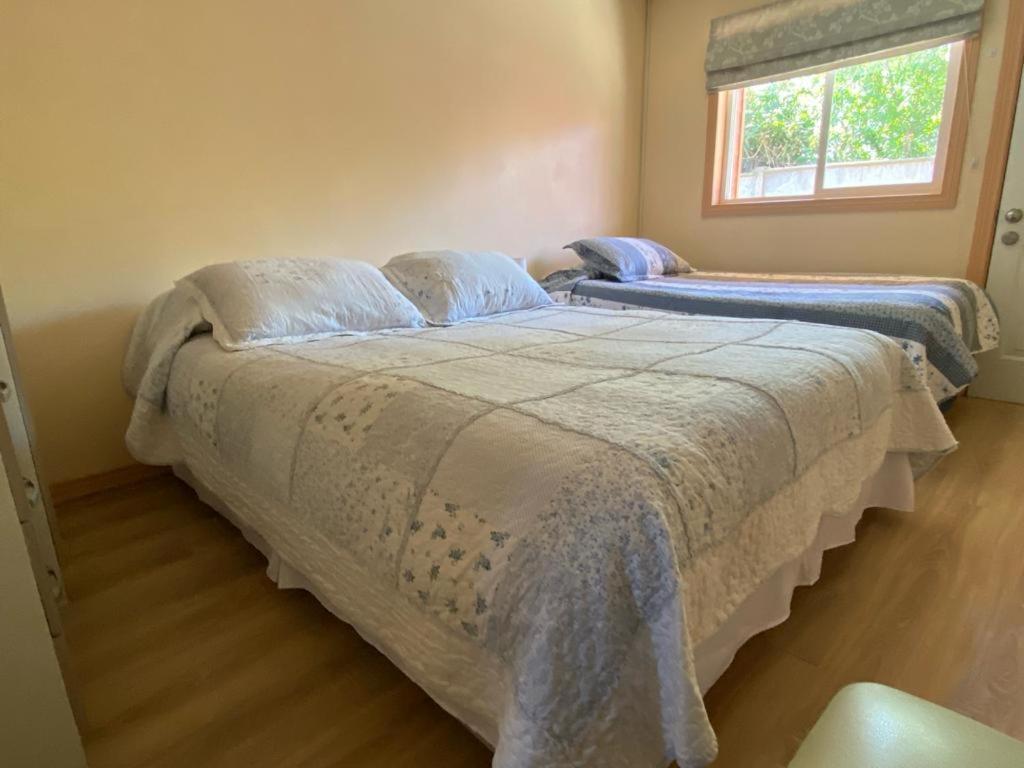 Apartamentos Turista 오소르노 외부 사진
